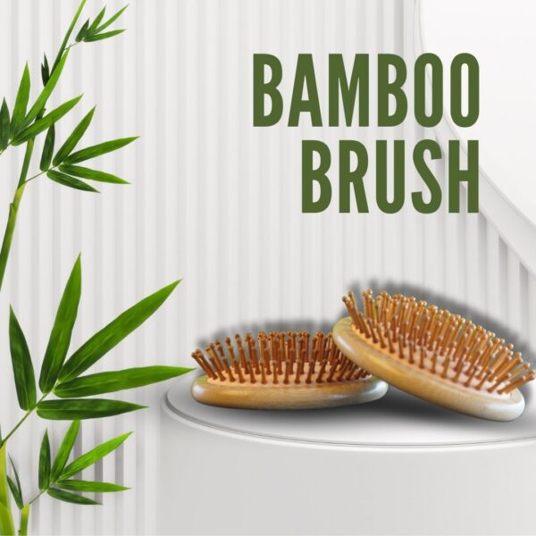 Eco-Friendly Bamboo Orbit Hairbrush – Natural Detangling Brush