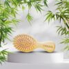 Eco-Friendly Bamboo Mini Hairbrush with Natural Bristles